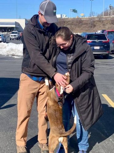 St. Clairsville Pet Rescue Matches Dogs With Families